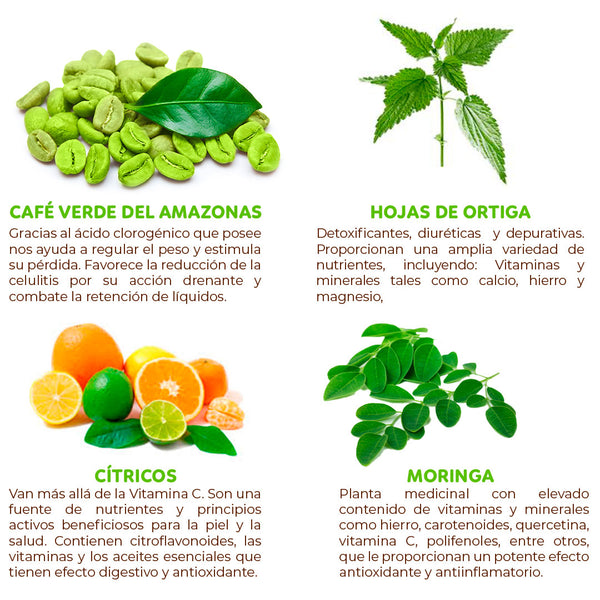 KIT SIN TEÍNA